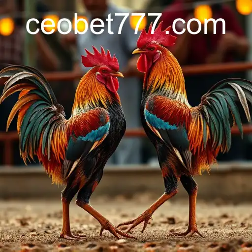 The Controversial World of Cockfighting and the Rise of CEOBET